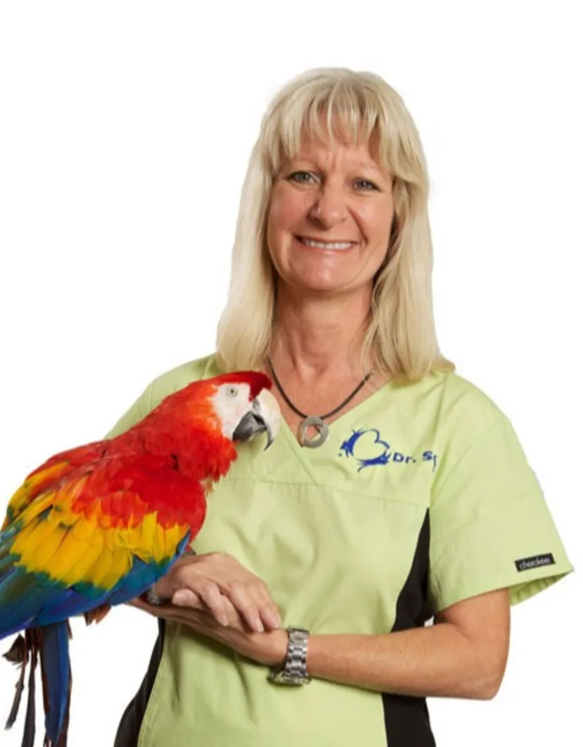 Dr. Robin Scott, DVM at Dickinson Animal Hospital